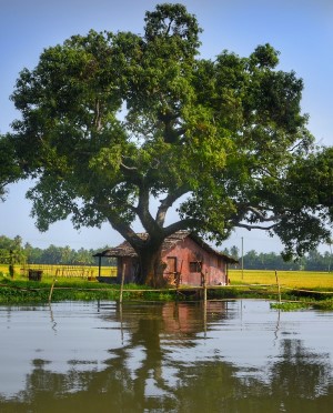 Kerala