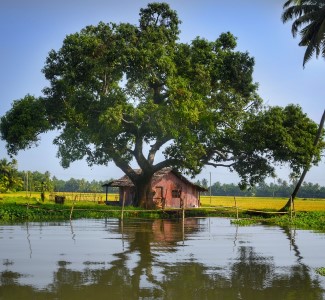 Kerala